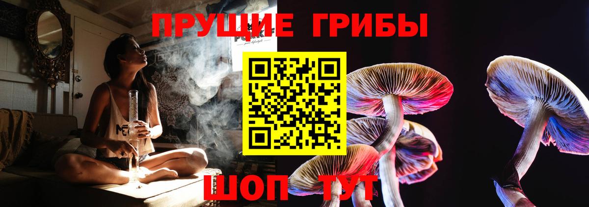 Псилоцибиновые грибы мухоморы Калач-на-Дону